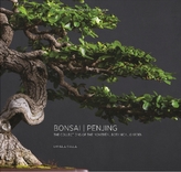  Bonsai | Penjing