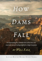  How Dams Fall