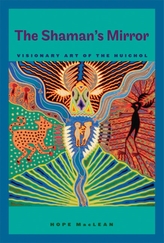  The Shaman's Mirror