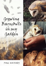  Growing Barn Owls in my Garden