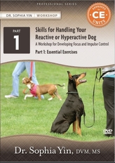  Skills for Handling Your Reactive or Hyperactive Dog