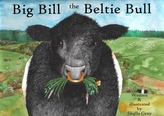  Big Bill the Beltie Bull