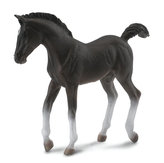 Tennessee Walking Horse - hříbě černé