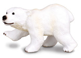 Medvěd lední mládě stojící