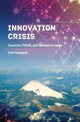  Innovation Crisis