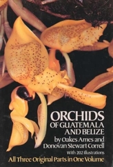 The Orchids of Guatemala and Belize