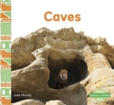  Animal Homes: Caves