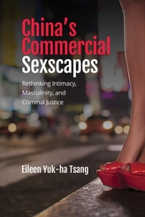  China's Commercial Sexscapes