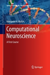  Computational Neuroscience