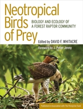  Neotropical Birds of Prey