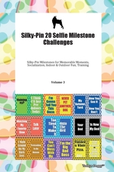  Silky-Pin 20 Selfie Milestone Challenges Silky-Pin Milestones for Memorable Moments, Socialization, Indoor & Outdoor Fun