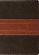  ESV Study Bible, Large Print