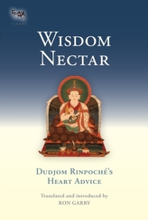  Wisdom Nectar