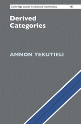  Derived Categories