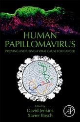  Human Papillomavirus