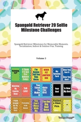  Spangold Retriever 20 Selfie Milestone Challenges Spangold Retriever Milestones for Memorable Moments, Socialization, In