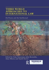  Third World Approaches to International Law