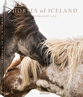  Horses of Iceland