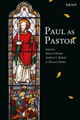  Paul as Pastor