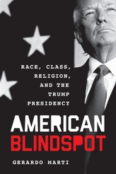  American Blindspot