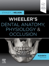  Wheeler\'s Dental Anatomy, Physiology and Occlusion