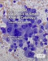  Differential Diagnosis in Small Animal Cytology