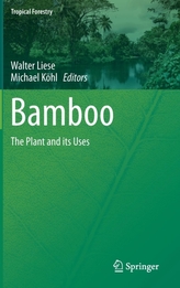  Bamboo