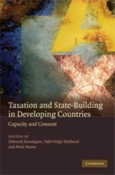  Taxation and State-Building in Developing Countries