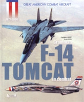  F14 Tomcat