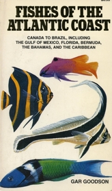  Fishes of the Atlantic Coast