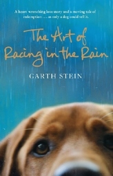 The Art of Racing in the Rain. Enzo. Die Kunst, ein Mensch zu sein, englische Ausgabe
