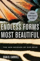 Endless Forms Most Beautifull. Evo Devo, englische Ausgabe