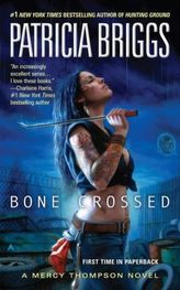 Bone Crossed. Zeit der Jäger, englische Ausgabe