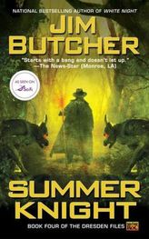 Dresden Files, Summer Knight. Die dunklen Fälle des Harry Dresden, Feenzorn, englische Ausgabe