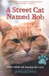 A Street Cat Named Bob. Bob, der Streuner, englische Ausgabe