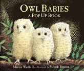 Owl Babies Pop Up