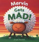 Marvin Gets MAD!