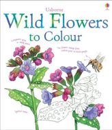 Usborne Wild Flowers to Colour