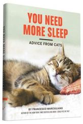 You Need More Sleep and Other Advise from Cats