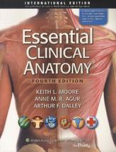Essential Clinical Anatomy, International Edition