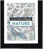 Colour and Frame Nature