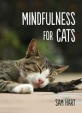 Mindfulness for Cats