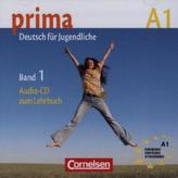 Audio-CD zum Lehrbuch