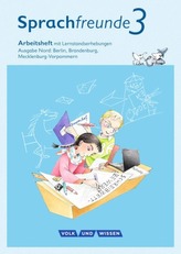 3. Schuljahr, Arbeitsheft mit Lernstandserhebungen in Schulausgangsschrift