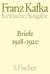 Briefe 1918-1920. Bd.4