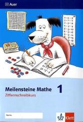 1. Schuljahr, Ziffernschreibkurs