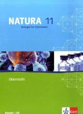 11. Jahrgangsstufe, Biologie