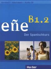 9./10. Schuljahr, Schülerband