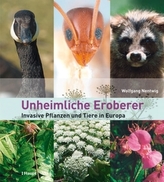 Schwarze Katzen