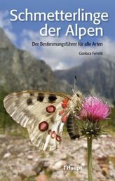 Schmetterlinge der Alpen